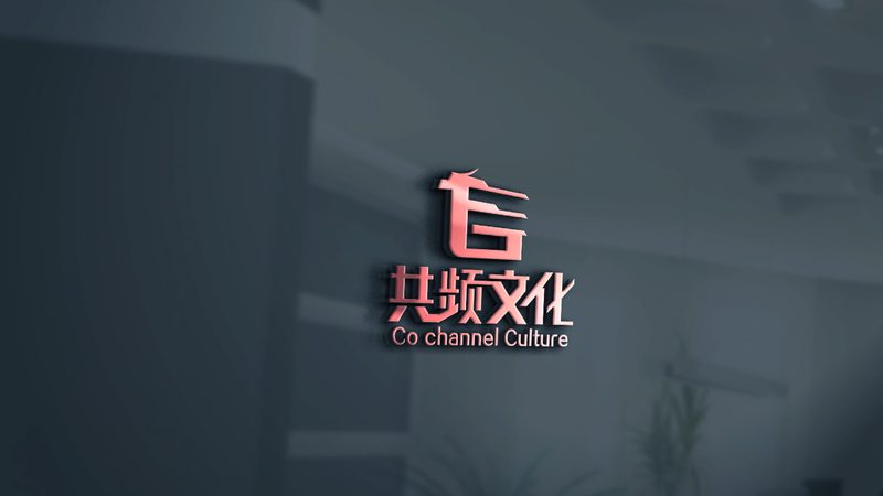 个人纪录片：记录生活的独特魅力与挑战**
